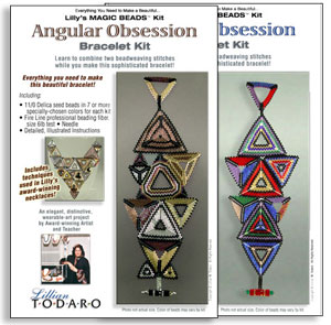 Angular Obsession Bracelet Kit & Book
